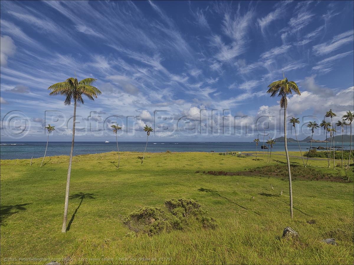 Peter Bellingham Photography Lord Howe Island - NSW SQ (PBH4 00 11779)